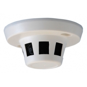 Smoke Detector Hidden CCD Camera